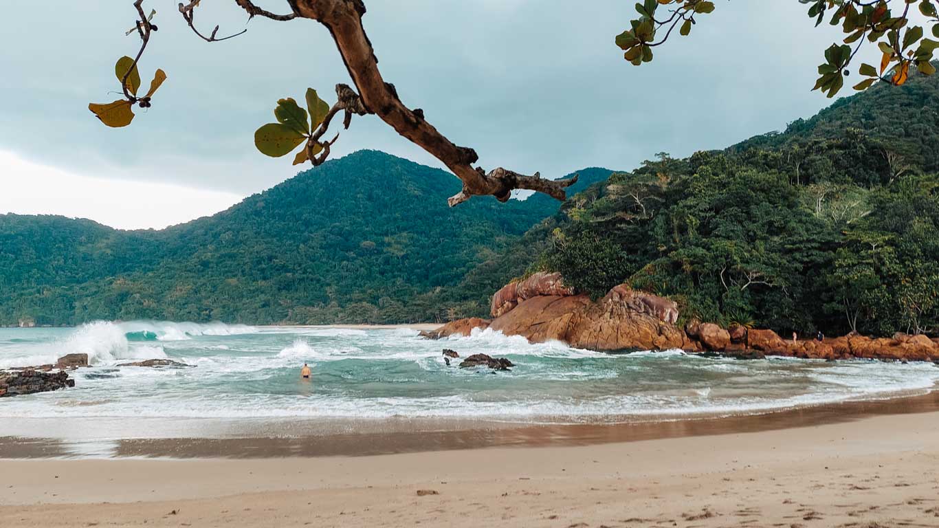 Esta imagen muestra una vista de la Praia do Meio en Trindade, Brasil. En primer plano, las olas rompen suavemente en la orilla de la playa de arena clara, mientras una persona disfruta del agua. Al fondo, se pueden ver formaciones rocosas rodeadas de densa vegetación tropical y montañas cubiertas de árboles, lo que crea un paisaje exuberante y natural. Una rama de árbol cuelga en la parte superior de la imagen, enmarcando la escena. 