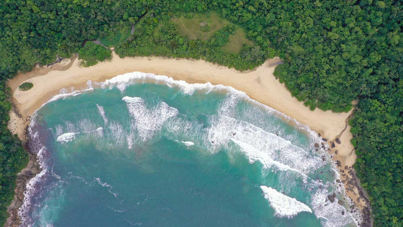 sta imagen aérea muestra la Praia do Sono en Trindade, Brasil. La playa, con su arena dorada, está rodeada por una densa vegetación tropical que se extiende hasta la línea costera. Las olas del mar rompen suavemente sobre la orilla, creando patrones de espuma blanca sobre el agua turquesa. La playa tiene una forma de media luna, y el contraste entre la arena clara, el agua azul y la vegetación verde hace que la escena sea visualmente impresionante y natural. 